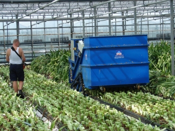 Afbeeldingen van Rupsversnipperaar met container
