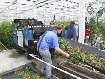 Afbeeldingen van Bio Chopper gewasversnipperaar