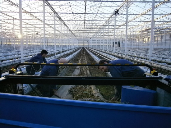 Afbeeldingen van Mega Bio Chopper HFC93 Gewasversnipperaar