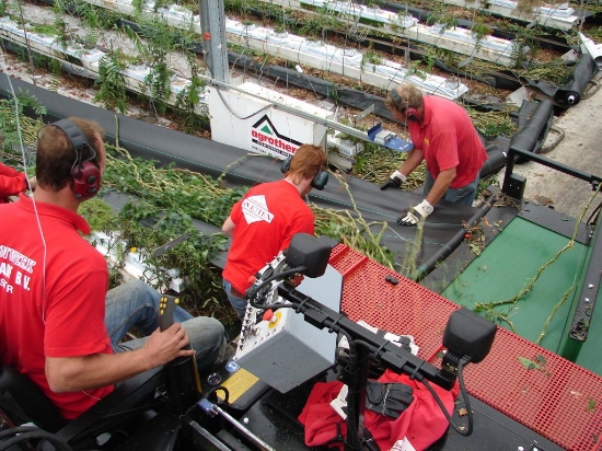 Afbeeldingen van Giga Bio Chopper gewasversnipperaar