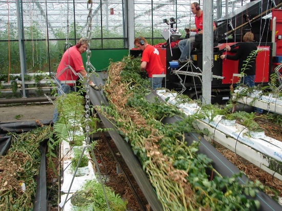Afbeeldingen van Giga Bio Chopper gewasversnipperaar