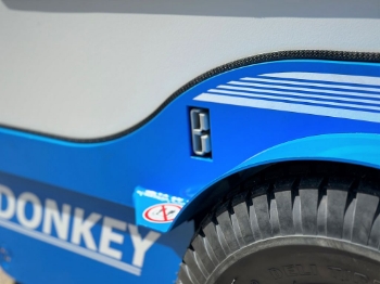 Picture of Donkey TE-23