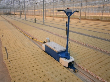 Picture of Electro WCR scooter