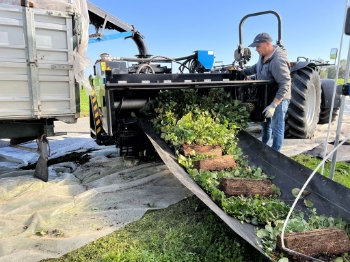Afbeeldingen van Bio Chopper PTO Gewasversnipperaar