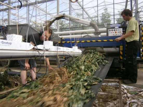 Afbeeldingen van Bio Chopper Compact TF290 gewasversnipperaar