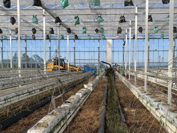 Afbeeldingen van Bio Chopper Compact TI530 Gewasversnipperaar