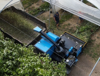 Picture of Super Chopper Compact HI550-620 Shredder
