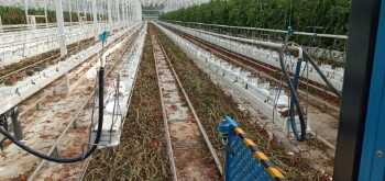 Afbeeldingen van Bio Hopper Compact EXT