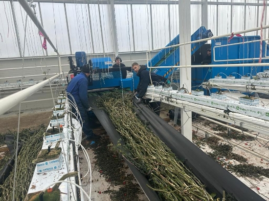 Picture of Bio Hopper Compact E750-32A (Electric)