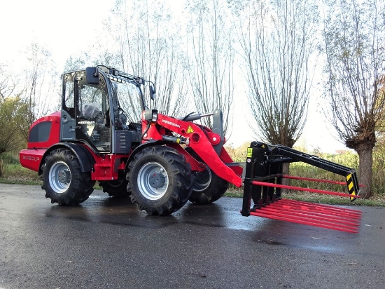 Afbeeldingen van Loofriek 171 - 10 Pennen