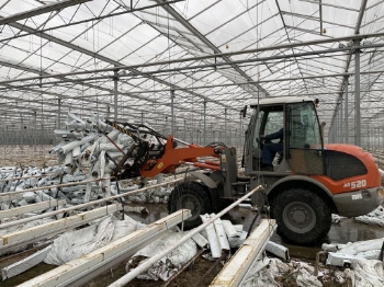 Afbeeldingen van Loofriek 200 - 13 Pennen
