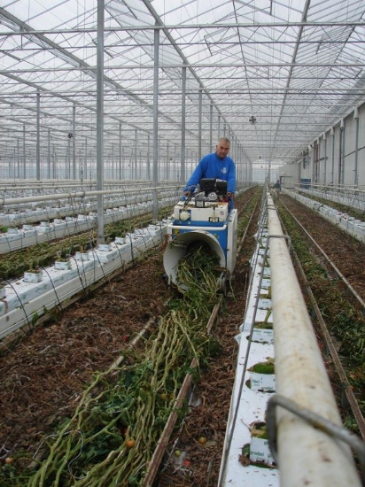 Afbeeldingen van Super Twister XL Tomatenplant Binder