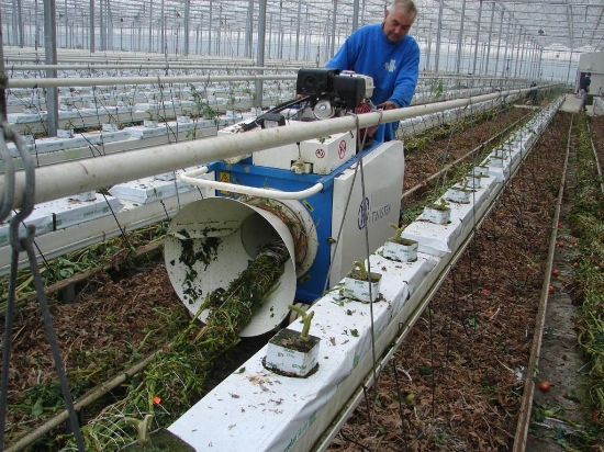 Afbeeldingen van Super Twister XL Tomatenplant Binder