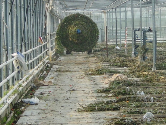 Afbeeldingen van Multiroller