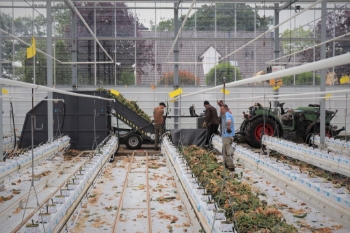 Picture of Bio Hopper XL PTO