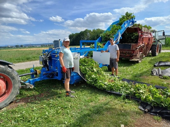 Afbeeldingen van Bio Hopper EXTF