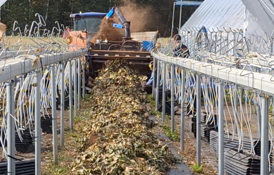 Picture of Bio Chopper PTO Shredder