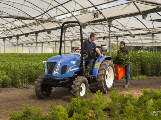 Picture of New Holland Boomer 35 Tractor