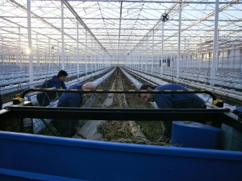 Afbeeldingen van Mega Bio Chopper HFC93 Gewasversnipperaar