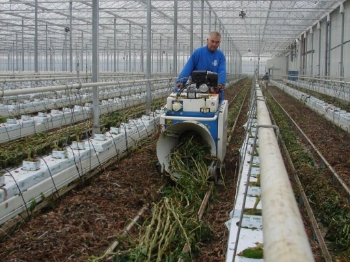 Picture of Super Twister Tomato Stem Binder