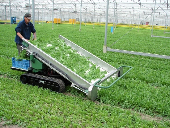 Afbeeldingen van LC1400-1630 Oogstmachine